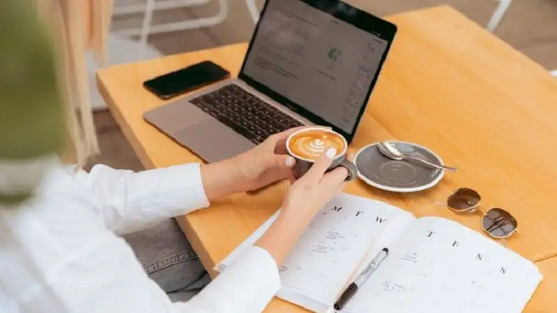 Pomutao951 Complete Informational Usage Guide